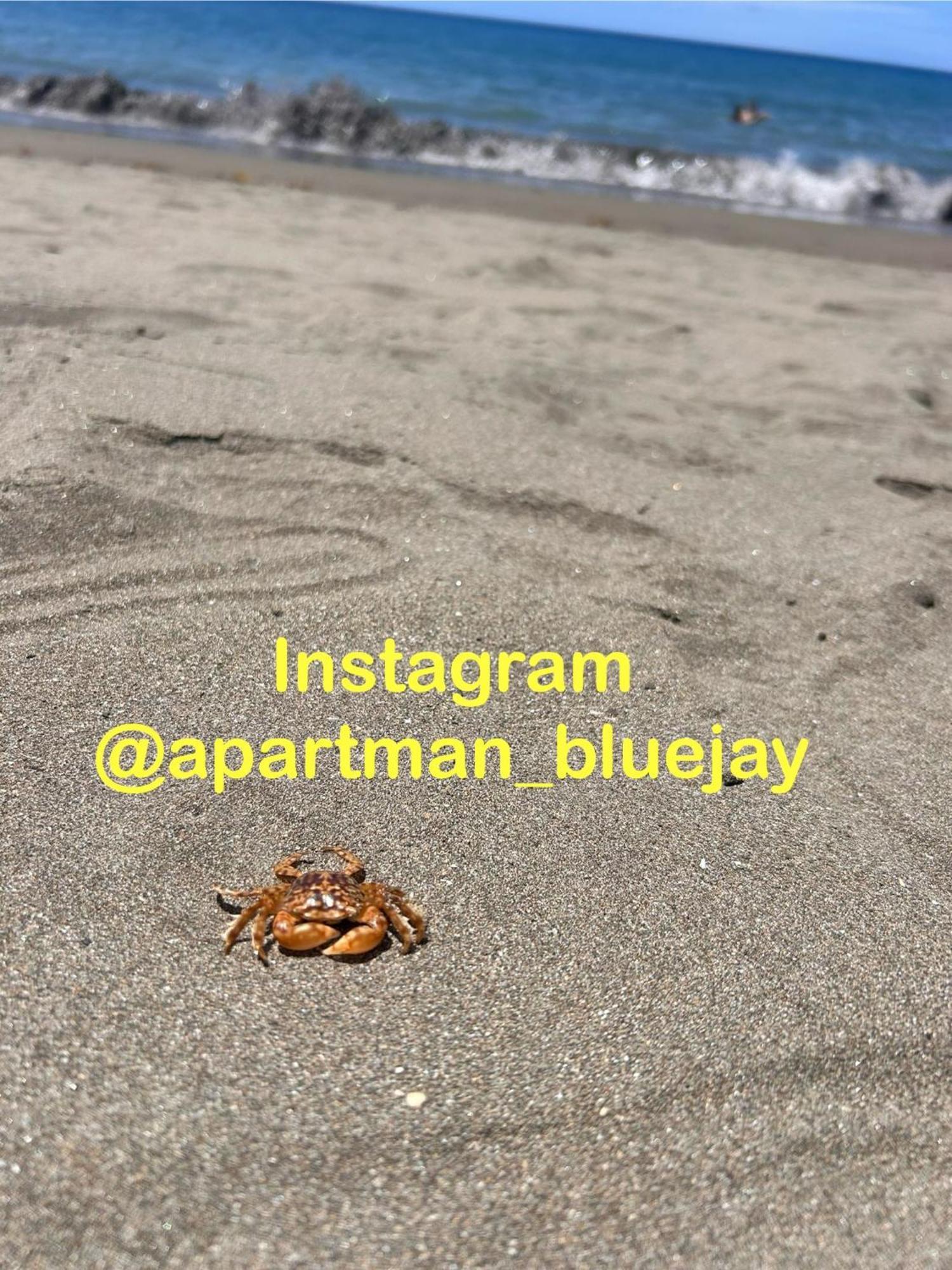 Bluejay Apartamento Playa Del Cura Playa Del Cura  Eksteriør bilde